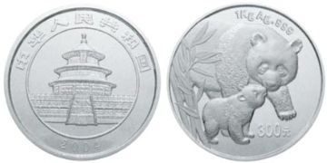 300 Yuan 2004