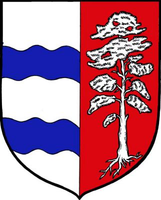 Stříbrno-červeně polcený štít. Vpravo dvě modrá vlnitá břevna, vlevo stříbrná vykořeněná borovice. Znak Albrechtice nad Orlicí