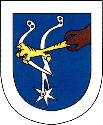 V modrém štítě se stříbrným lemem z levého okraje zlatý pařát dravého ptáka s hnědým peřím, držící stříbrnou ostruhu kolečkem dolů. Znak Braškov