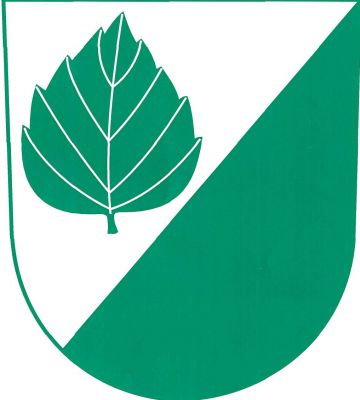 Ve stříbrno - zeleně šikmo děleném štítě vpravo vztyčený zelený březový list. Znak Březina (dříve okres Tišnov)