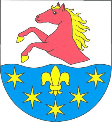 Ve stříbrno - modře sníženě vlnitě děleném štítě nahoře polovina červeného koně ve skoku se zlatou zbrojí, dole lilie provázená dole do oblouku pěti hvězdami, vše zlaté. Znak Brňany