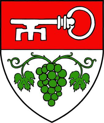 V červeno-stříbrně zvýšeně děleném štítě nahoře položený stříbrný klíč, dole zelený vinný hrozen s úponky a dvěma listy po stranách. Znak Brno-Bohunice