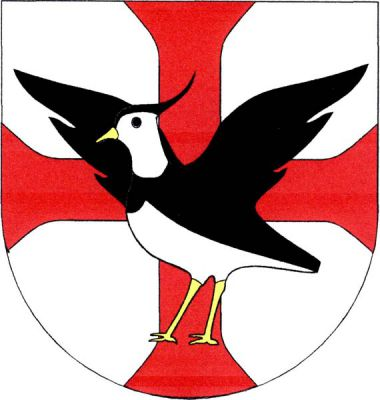 Ve stříbrném štítě přes červený tlapatý kříž vzlétající čejka přirozené barvy se zlatou zbrojí. Znak Čejkovice