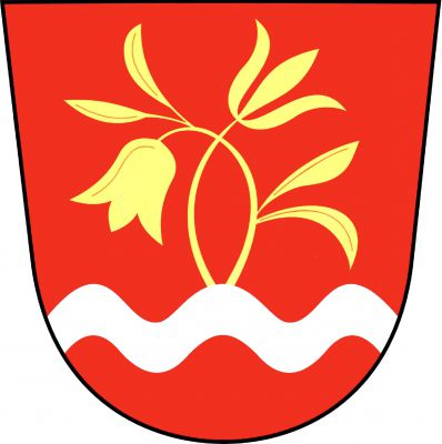 V červeném štítě ze stříbrného vlnitého břevna v patě vyrůstající dva květy zvonku na překřížených stoncích, levý se čtyřmi listy, dva nahoře a dva dole. Pravý květ svěšený, levý vztyčený a rozevřený, vše zlaté. Znak Čermná