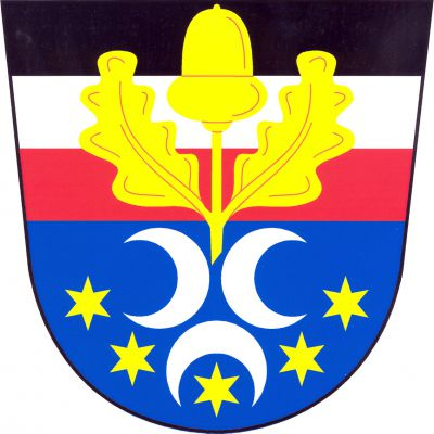 Dělený štít, horní pole dvakrát červeno-stříbrno-černě děleno, dolní pole modré. Nahoře zlatý vztyčený žalud se dvěma listy, dole tři (2,1) odvrácené stříbrné půlměsíce nad pěti zlatými hvězdami do oblouku. Znak Černousy