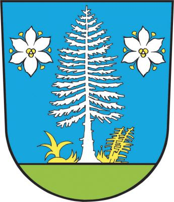 V modrém štítě na zeleném trávníku stříbrná jedle se zlatým podrostem provázená nahoře dvěma stříbrnými květy přirozené lilie se zlatým středem. Znak Cikháj