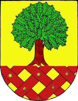 Ve zlatém štítě vykořeněný dub přirozené barvy nad červeně mřežovanou patou se zlatými hvězdami v křížení. Znak Dobrochov