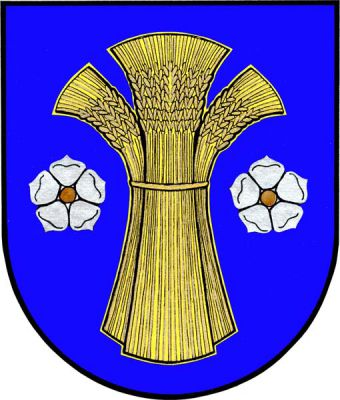 V modrém štítě zlatý snop tvořený třemi viditelnými hrstmi, provázený po stranách stříbrnými růžemi se zlatými semeny. Znak Dolní Lutyně