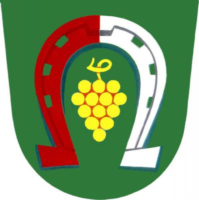 V zeleném štítě červeno-stříbrně polcená podkova, v ní zlatý vinný hrozen. Znak Hostějov