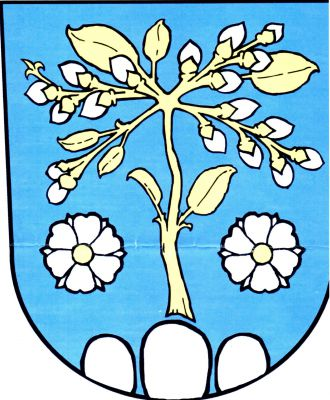 V modrém štítě nad třemi vyrůstajícími stříbrnými kameny vztyčená zlatá větev jívy se stříbrnými květy, provázená dvěma stříbrnými šestilistými květy se zlatými středy. Znak Jívoví