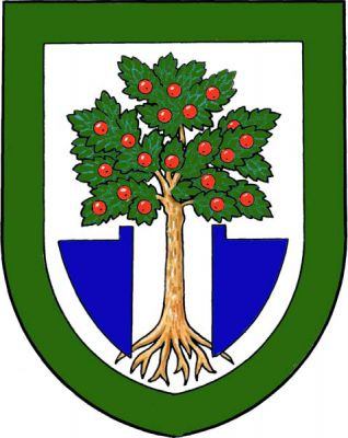 Ve stříbrném, zeleně lemovaném štítě vykořeněná jabloň přirozené barvy, provázená dole odvrácenými modrými radlicemi. Znak Klopina
