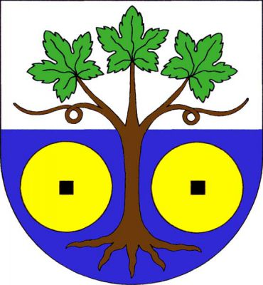 Ve stříbrno-modře děleném štítě vykořeněný keř vinné révy přirozené barvy se třemi listy a dvěma úponky po stranách, provázený dole dvěma zlatými mlýnskými kameny s černými čtvercovými otvory. Znak Malé Žernoseky