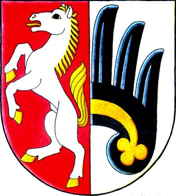 V červeno-stříbrně polceném štítě vpravo stříbrný kůň ve skoku se zlatou zbrojí, hřívou a ocasem, vlevo vyniká z dělící linie polovina černého křídla se zlatým perizoniem. Znak Martinice