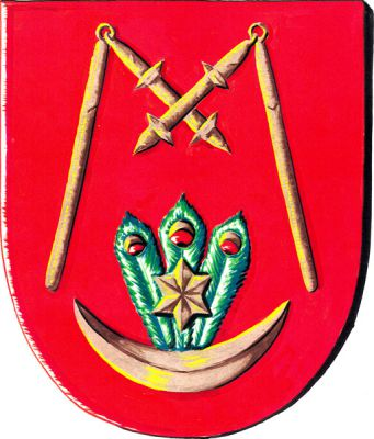 V červeném štítě dva zlaté přivrácené válečné cepy se zkříženými tlouky, pod nimi ze zlatého stoupajícího půlměsíce vyrůstá zelená paví kyta, na ní položená zlatá hvězda. Znak Martínkov