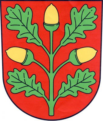 V červeném štítě vztyčená zelená dubová větev střídavě s jedním vztyčeným a dvěma odkloněnými zlatými žaludy a čtyřmi zelenými listy. Znak Modřice