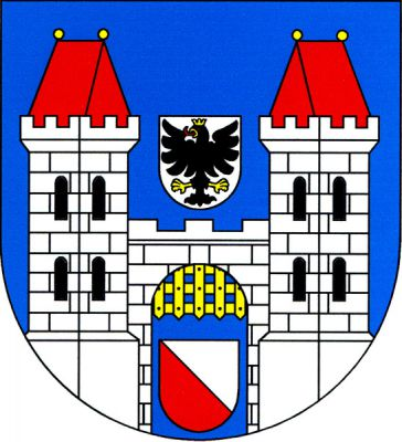 V modrém štítě hradba se třemi stínkami a prázdnou branou se zlatou vytaženou mříží mezi dvěma čtyřhrannými, hranou čelně otočenými věžemi. Každá věž má hladký sokl, čtyři (2,2) černá oblouková okna, cimbuří a červenou valbovou střechu zakončenou dvěma zlatými makovicemi. Hradba i věže jsou stříbrné a kvádrované. Mezi věžemi je stříbrný štítek s černou korunovanou orlicí se zlatou zbrojí a červeným jazykem. V bráně je stříbrno-červeně kosmo dělený štítek. Znak Nová Bystřice