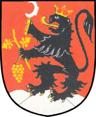 V červeném štítě na stříbrném trojvrší černý korunovaný lev se zlatou zbrojí, držící v pravé přední tlapě stříbrný kosíř se zlatou rukojetí a v levé tlapě pod ním zlatou vinnou ratolest se dvěma listy a jedním hroznem. Znak Radějov