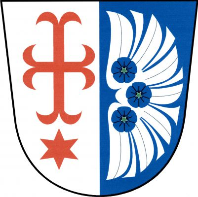 Ve stříbrno - modře polceném štítě vpravo kotvicový kříž s kratšími vodorovnými rameny nad hvězdou, obojí červené, vlevo stříbrné orlí křídlo, v něm tři modré květy lnu pod sebou. Znak Radkovice u Hrotovic