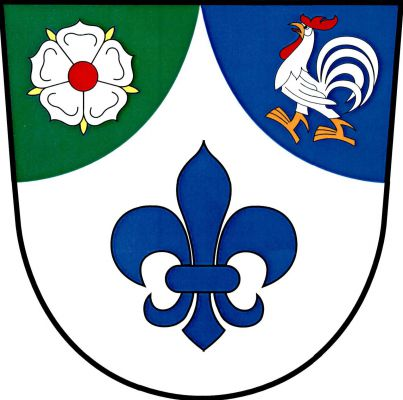 V zeleno - modře zvýšeným stříbrným vydutým hrotem s modrou lilií děleném štítě v pravém koutě stříbrná růže s červeným semeníkem a zlatými kališními lístky, v levém stříbrný kráčející kohout se zlatou zbrojí, jazykem a s červeným lalokem a hřebenem. Znak Radošovice