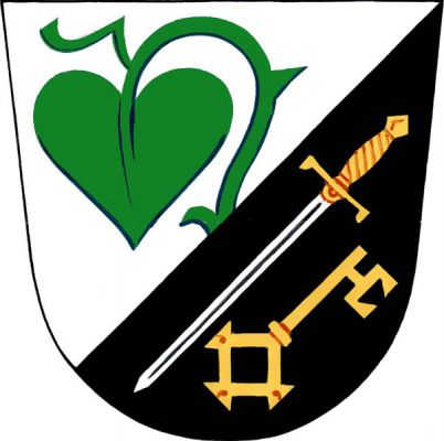 Ve stříbrno-černě šikmo děleném štítě vyrůstá nahoře zelený stonek s leknínovým listem, dole šikmo postavený stříbrný meč se zlatým jílcem, pod ním šikmo vztyčený zlatý gotický klíč zuby ven. Znak Rudíkov