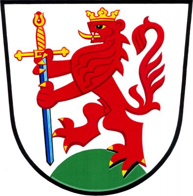 Ve stříbrném štítě na zeleném návrší červený korunovaný lev se zlatou zbrojí, držící postavený modrý meč se zlatým jílcem. Znak Šanov