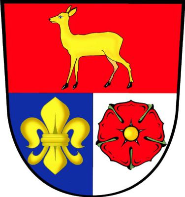 Dělený štít. V horním červeném poli zlatá srna, dolní pole modro-stříbrně polcené, vpravo zlatá lilie, vlevo červená růže se zlatý semeníkem a zelenými kališními lístky. Znak Srnín