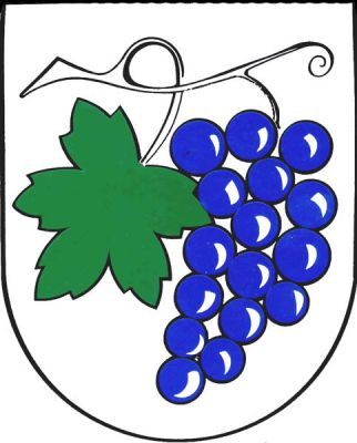 Ve stříbrném štítě na zeleném stonku s listem modrý hrozen. Znak Starý Hrozenkov