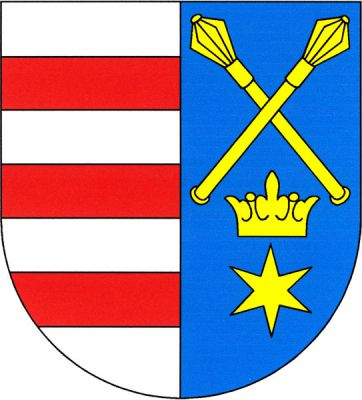 Ve stříbrno-modře polceném štítě vpravo tři červená břevna, vlevo dva zkřížené palcáty nad korunou a hvězdou, vše zlaté. Znak Svojšín