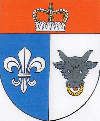 Ve stříbrno - modře polceném štítě pod červenou hlavou s knížecí korunou vpravo stříbrná lilie, vlevo černá zubří hlava se zlatou houžví a červeným jazykem. Znak Velké Janovice