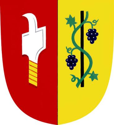 V červeno-zlatě polceném štítě vpravo stříbrný vinařský nůž - kosíř se zlatou rukojetí, vlevo černá tyč ovinutá zeleným stonkem vinné révy se dvěma listy a dvěma modrými hrozny. Znak Vlčnov