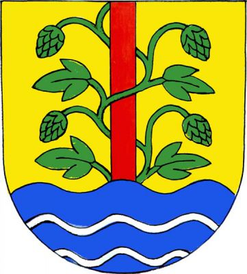 Ve zlatém štítě vyrůstá z modré vlnité paty se dvěma stříbrnými vlnitými břevny červený kůl obtočený zeleným chmelovým štokem střídavě se čtyřmi šišticemi a čtyřmi listy. Znak Vojkovice