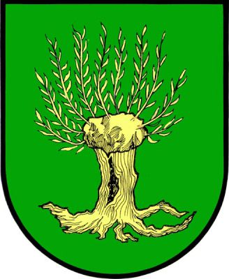 V zeleném štítě zlatá vykořeněná vrba. Znak Vrbice