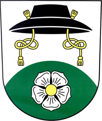 Ve stříbrném štítě nad vysokým zeleným návrším se stříbrným pětilistým květem se zlatým středem černý klobouk se dvěma svěšenými zlatými šňůrami zakončenými třapci. Znak Vysoké Popovice