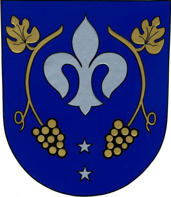 V modrém štítě stříbrná lilie, provázená dvěma zlatými vinnými ratolestmi, nahoře s listem, dole s hroznem. Mezi hrozny dvě (1,1) stříbrné pětihroté hvězdy. Znak Ždánice