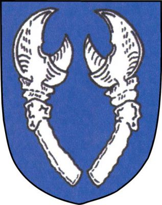 V modrém štítě dvě vztyčená stříbrná račí klepeta. Znak Železné