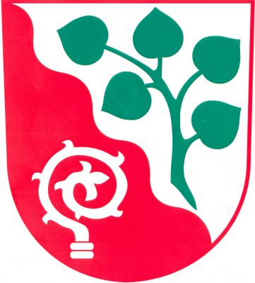 V červeno-stříbrně kosmo vlnitě děleném štítě vpravo stříbrná hlavice berly závitem doleva, vlevo kosmá zelená lipová větev s pěti listy. Znak Žižice